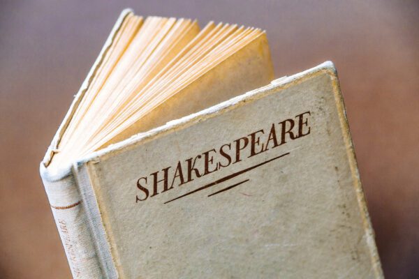 Trust-wide Shakespeare celebration being planned