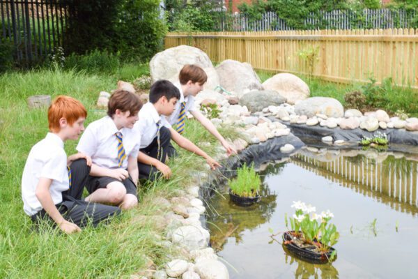 English Martyrs' CVA shortlisted for national sustainability award