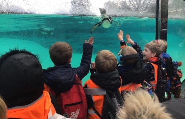 Pupils enjoy free zoo trip thanks to community fundraising